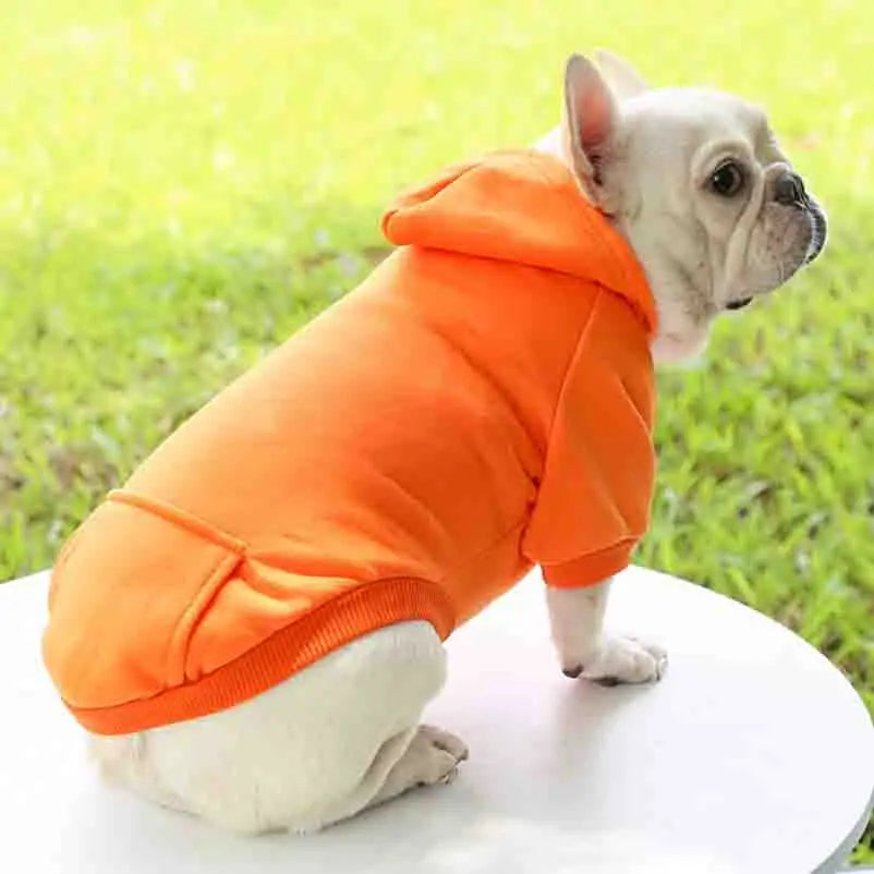 Cozy K-9 Hoodie