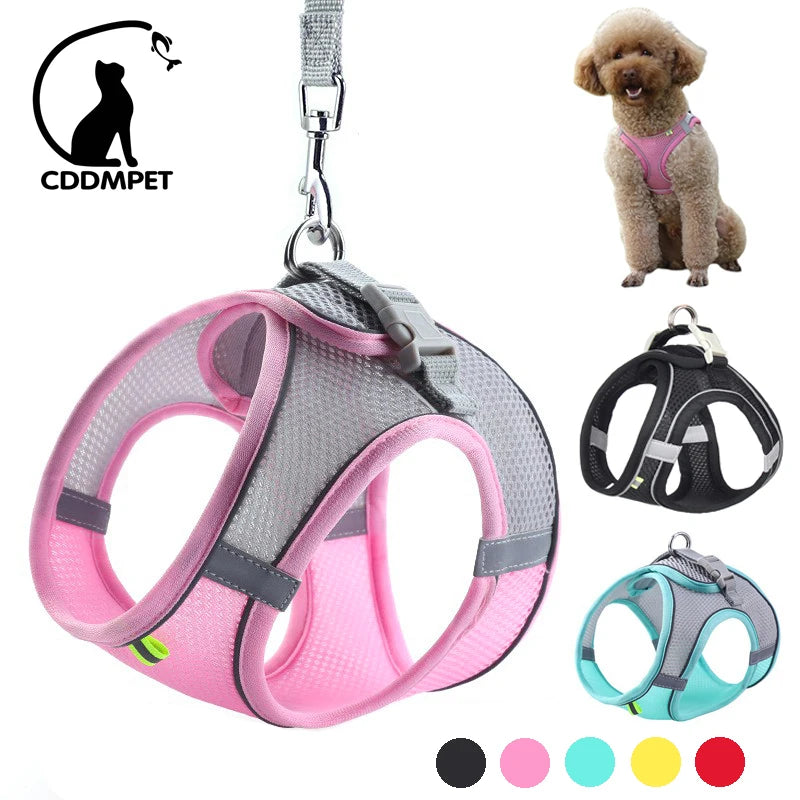 Comfy Pup Harness-Leash Combo